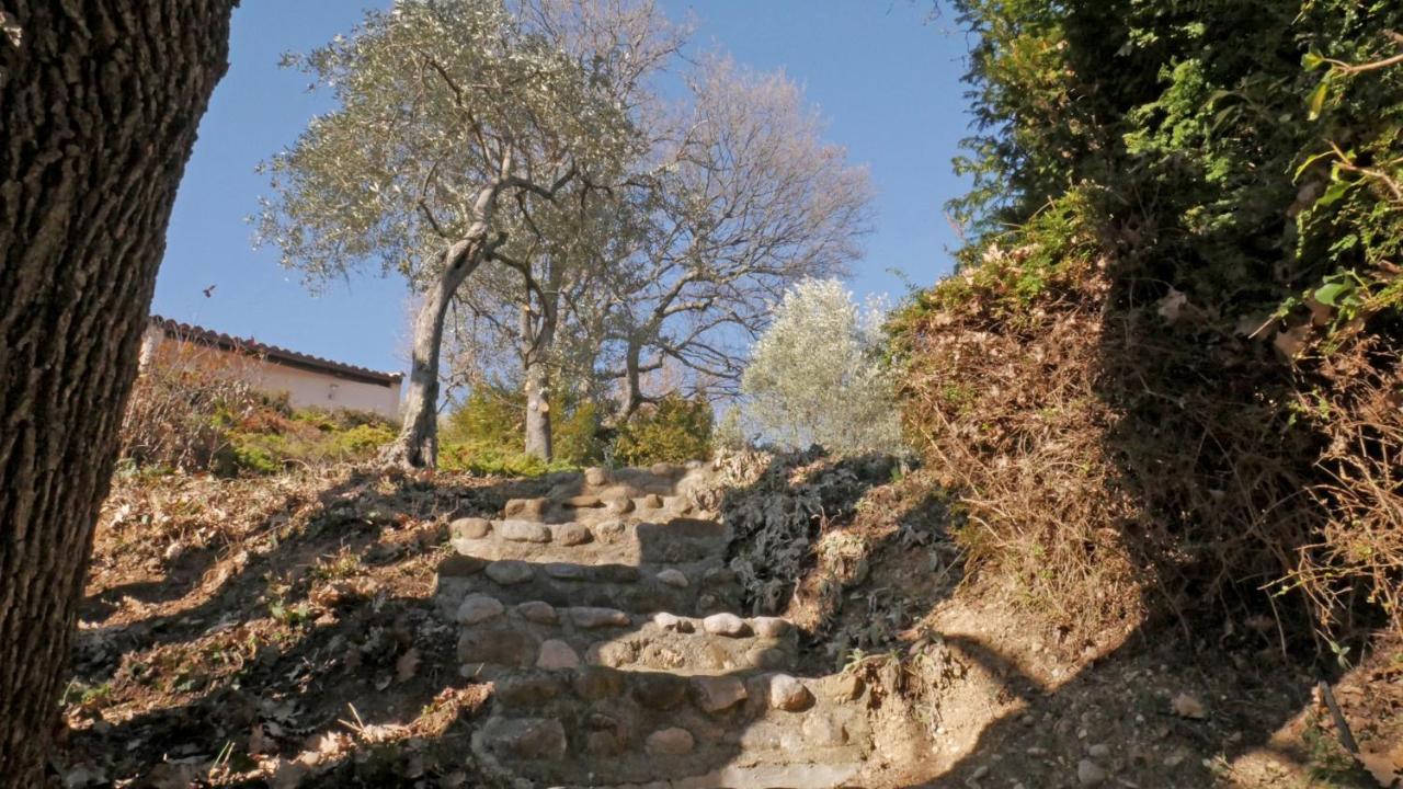 Les Chambres D Hotes De Valensole Au Pays Des Lavandes Et Proche Des Gorges Du Verdon Exterior photo