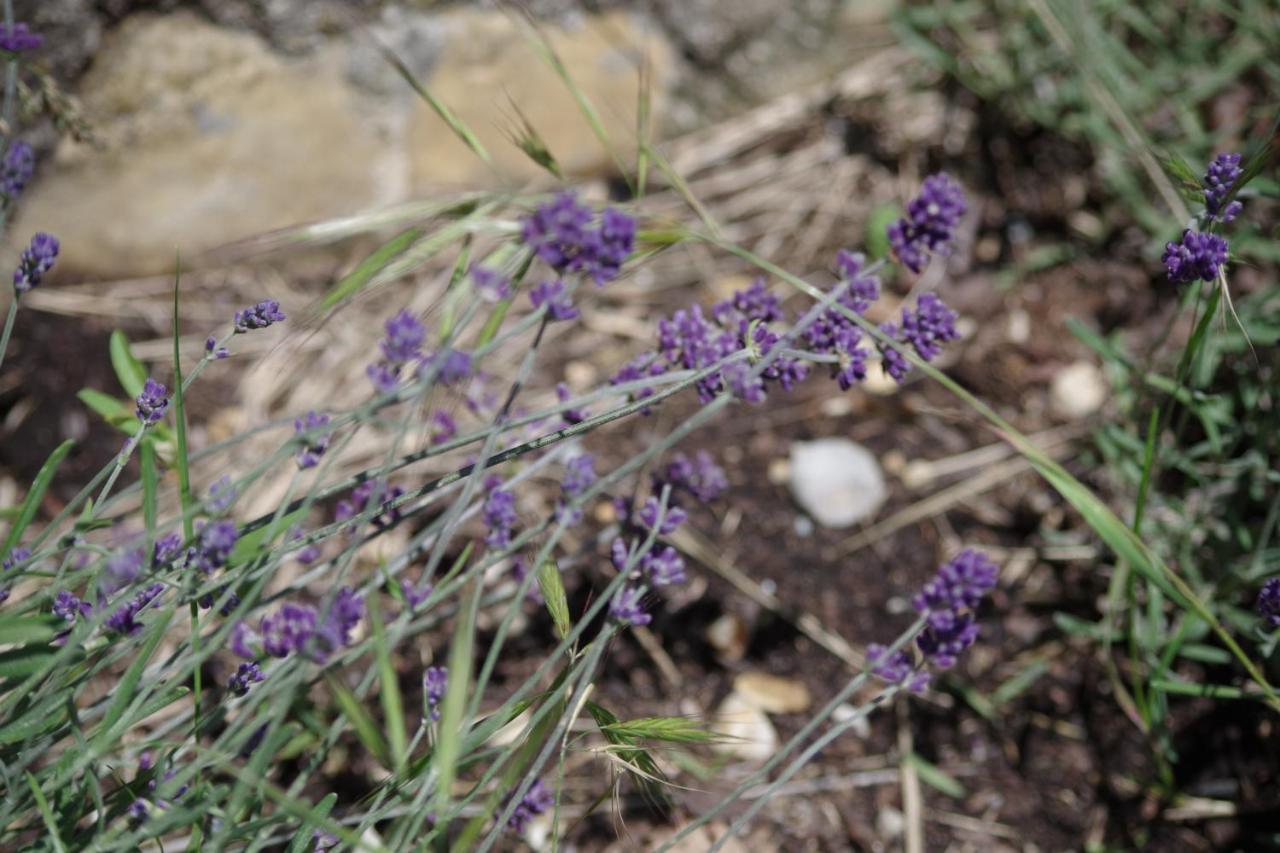 Les Chambres D Hotes De Valensole Au Pays Des Lavandes Et Proche Des Gorges Du Verdon Exterior photo